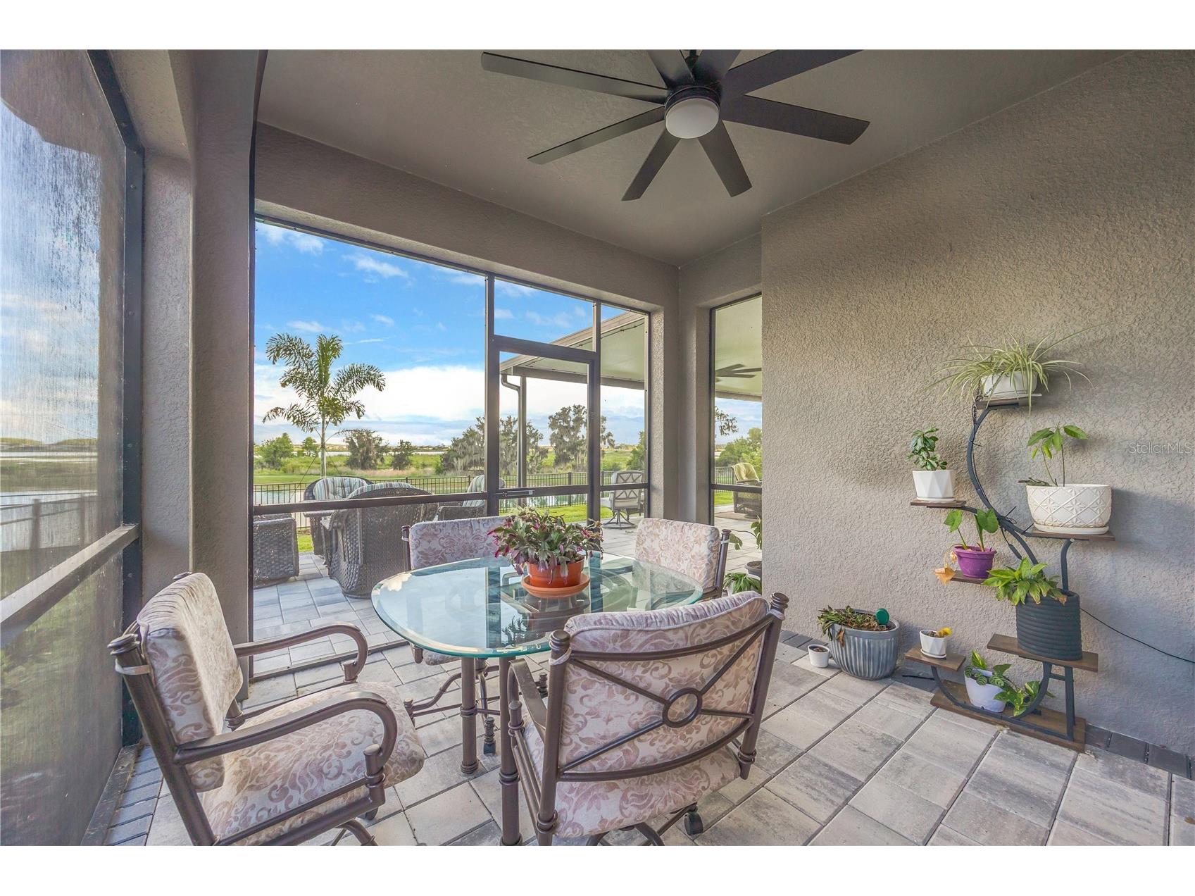 32455 Sapna Chime Drive Wesley Chapel FL 33545 TB8508690 image69