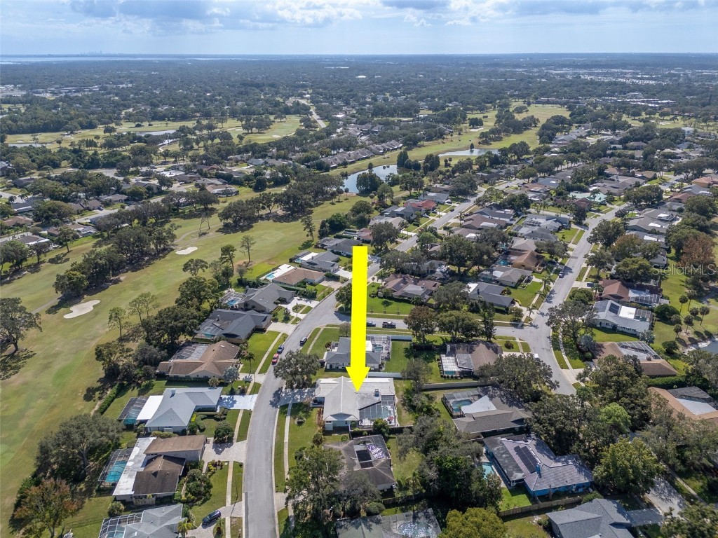 3246 Hyde Park Drive Clearwater FL 33761 TB8420789 image80