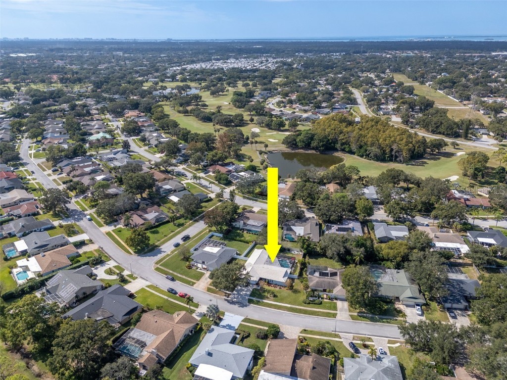 3246 Hyde Park Drive Clearwater FL 33761 TB8420789 image81