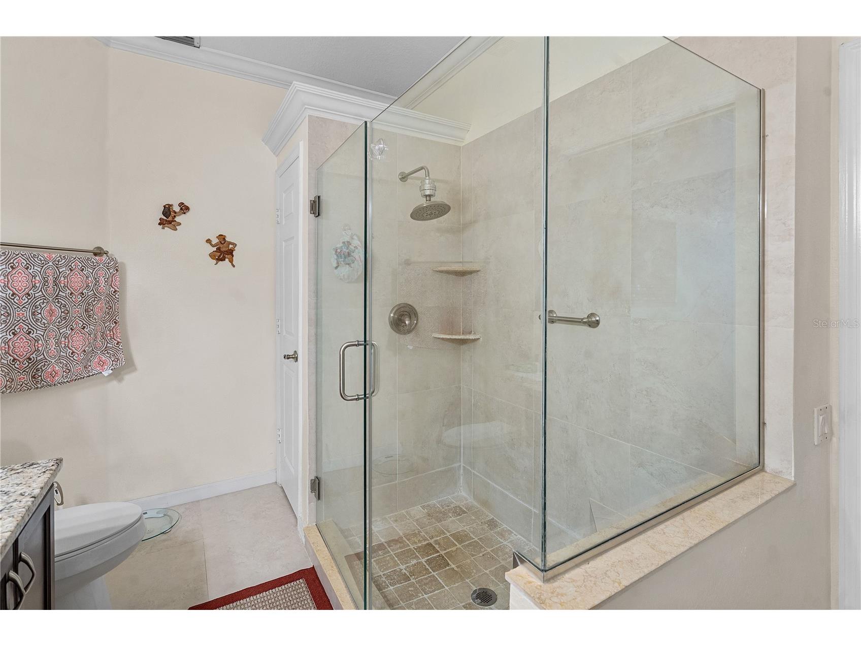 3246 River Branch Circle #0 Kissimmee FL 34741 R4910599 image23