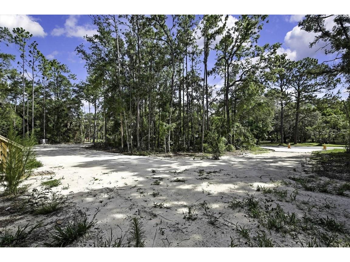 3246 S Lee Way Homosassa FL 34448 TB8403926 image2