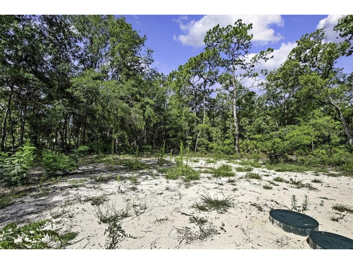 3246 S Lee Way Homosassa FL 34448 TB8403926 image29