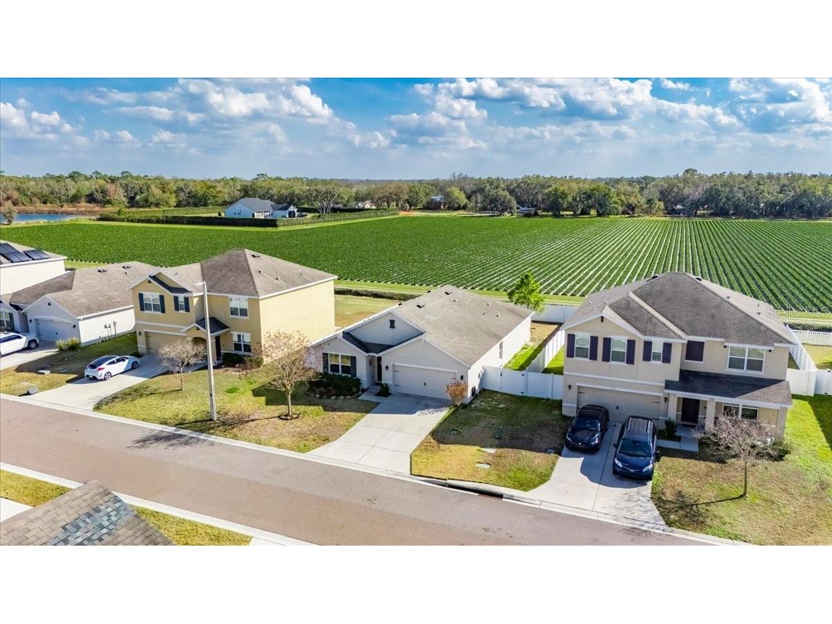 3246 S Northview Road Plant City FL 33566 TB8478597 image43