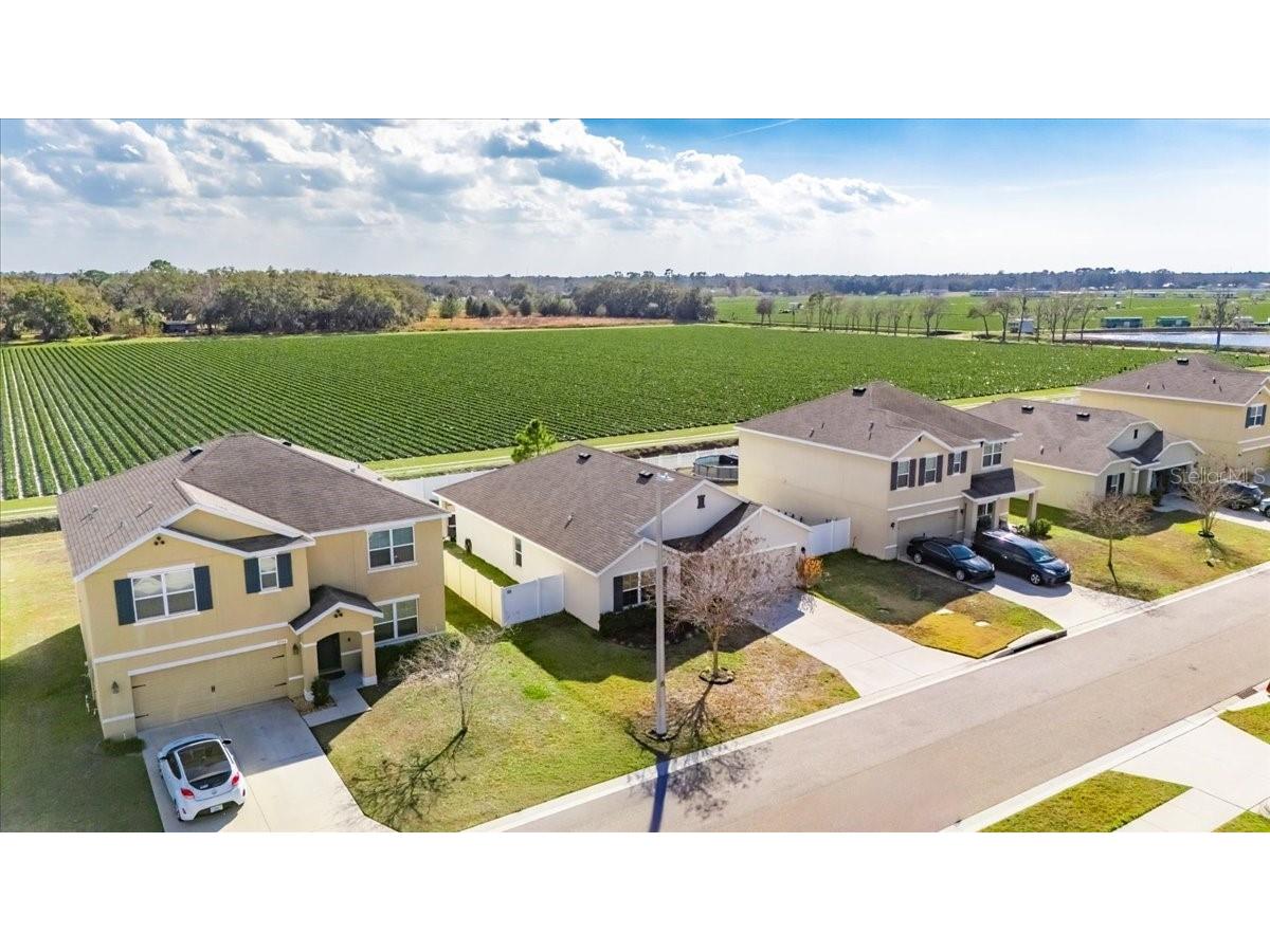 3246 S Northview Road Plant City FL 33566 TB8478597 image45