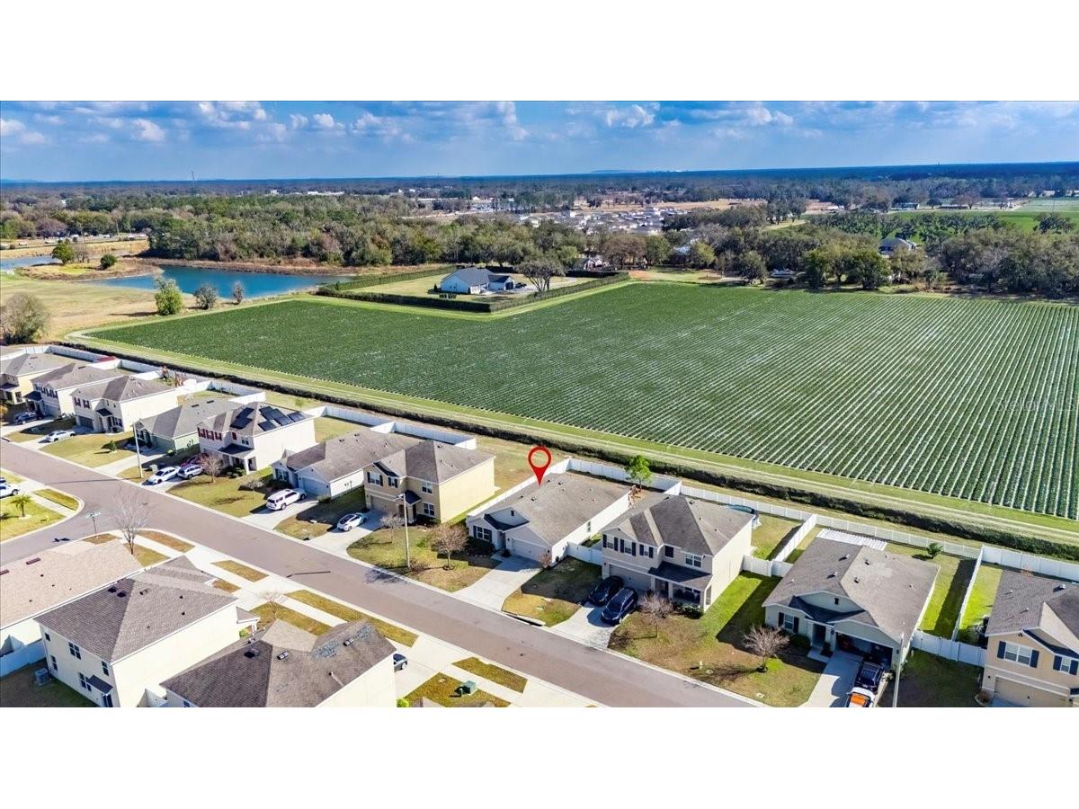 3246 S Northview Road Plant City FL 33566 TB8478597 image47