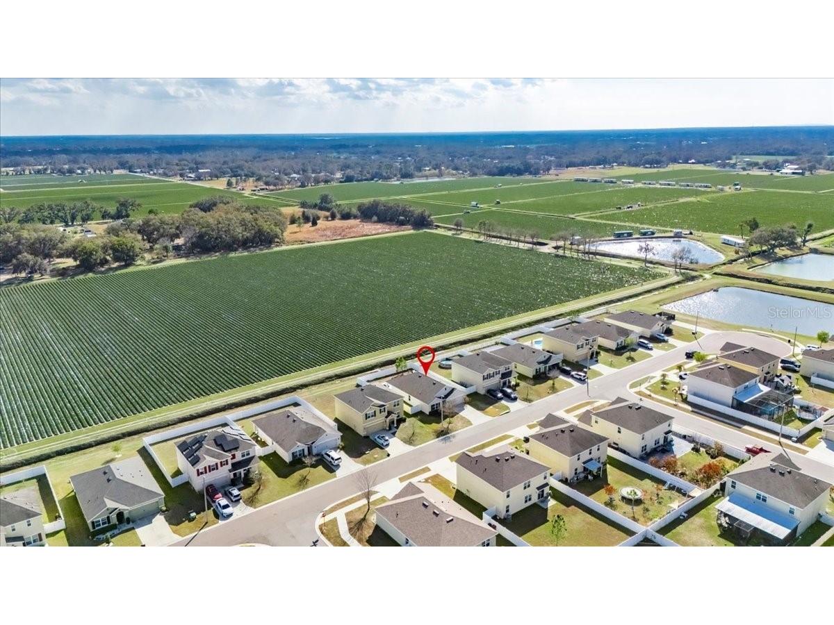 3246 S Northview Road Plant City FL 33566 TB8478597 image49