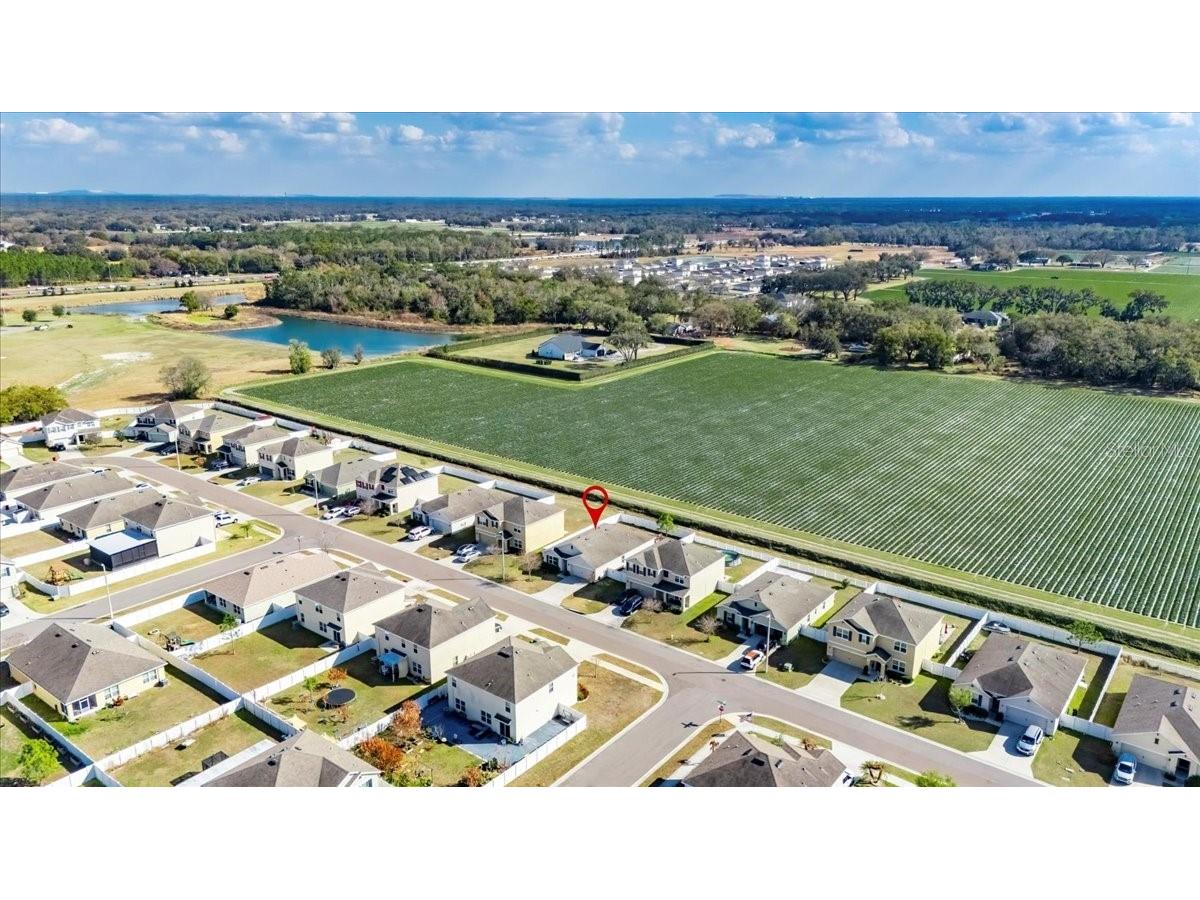 3246 S Northview Road Plant City FL 33566 TB8478597 image50