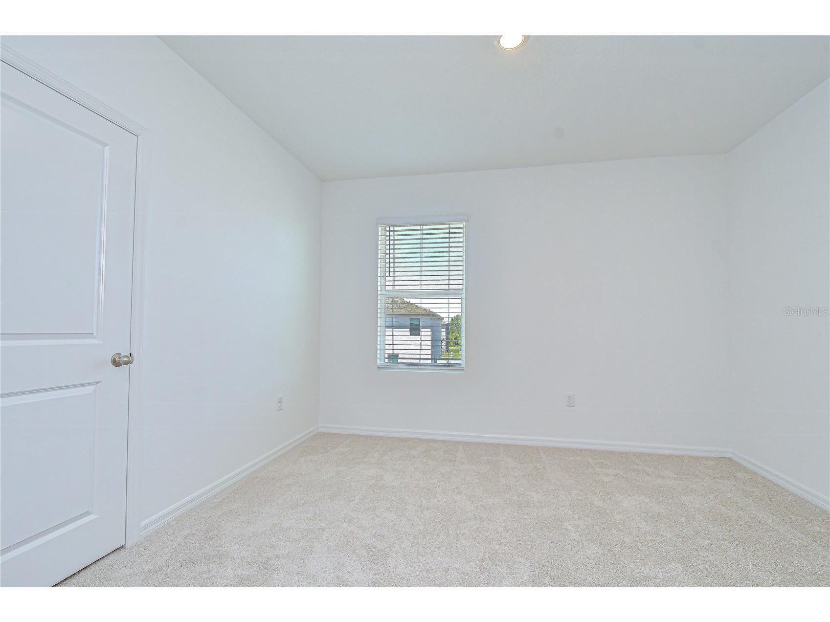 32463 Weathered Oak Drive Wesley Chapel FL 33543 TB8497494 image32