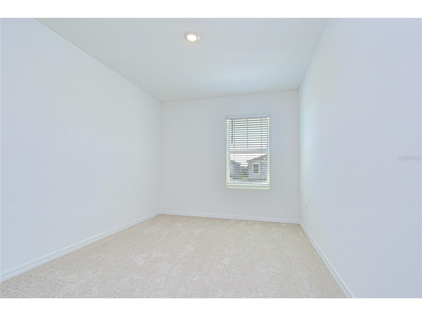 32463 Weathered Oak Drive Wesley Chapel FL 33543 TB8497494 image37