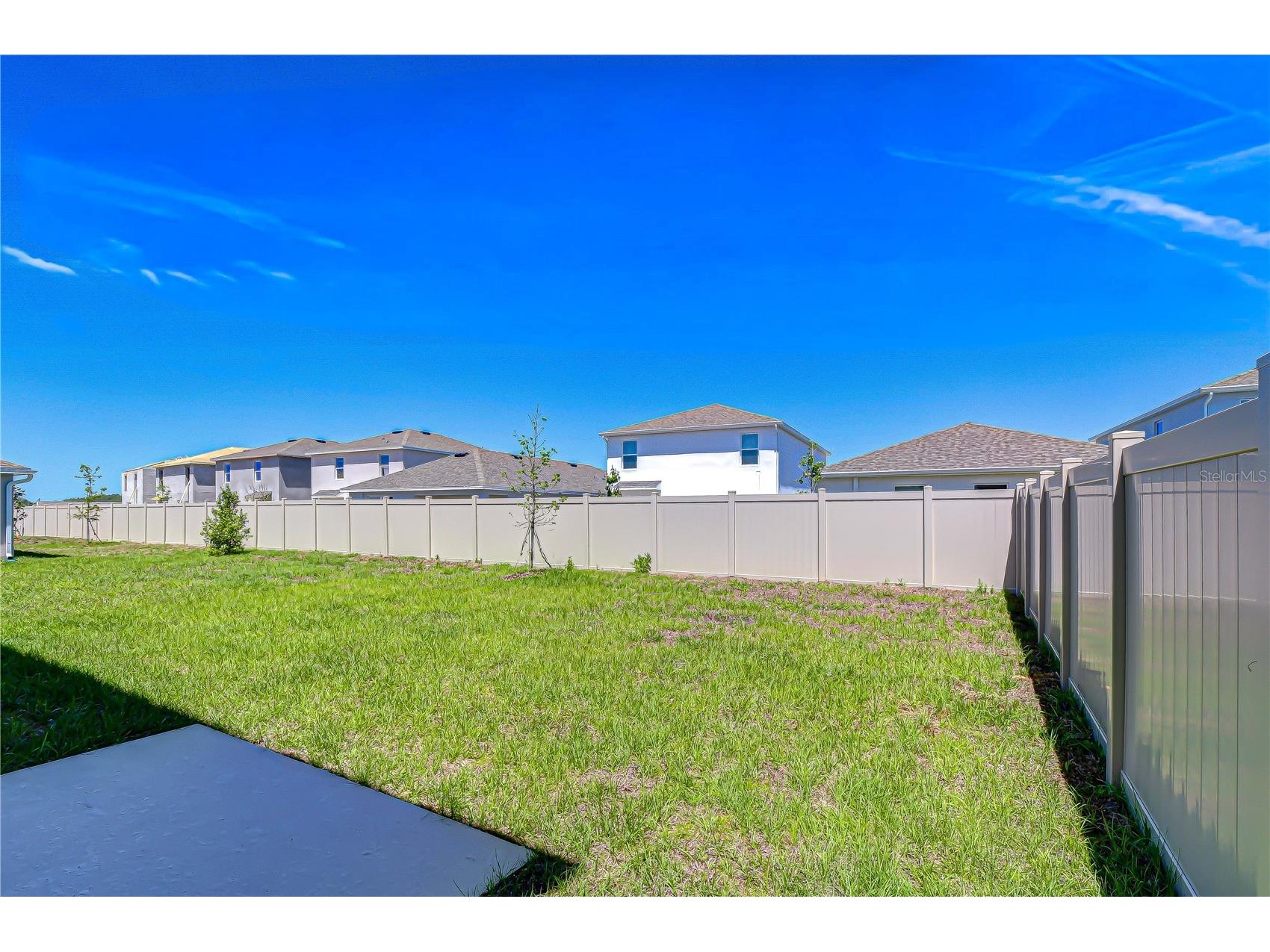 32463 Weathered Oak Drive Wesley Chapel FL 33543 TB8497494 image50