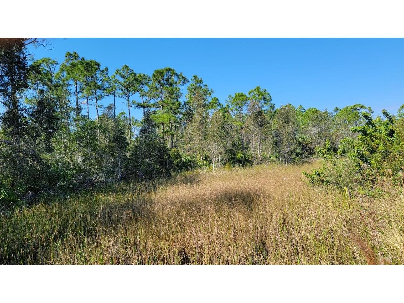 32464 Oil Well Road Punta Gorda FL 33955 U8222471 image1