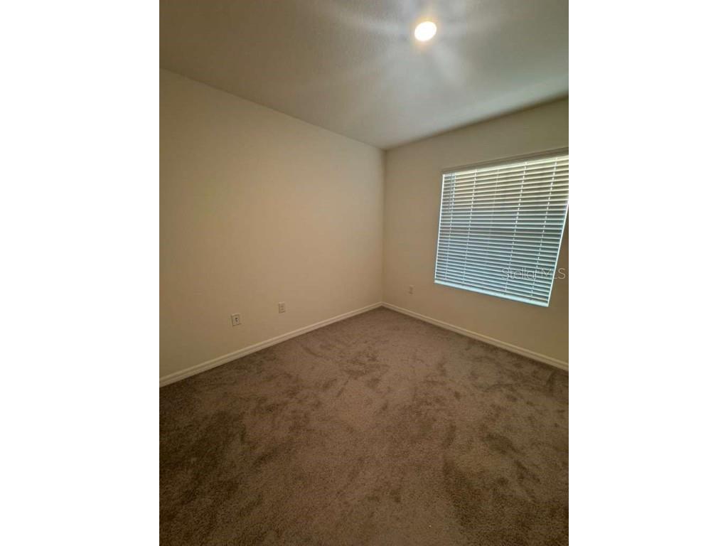 32467 Turtle Grace Loop Wesley Chapel FL 33545 O6364297 image5