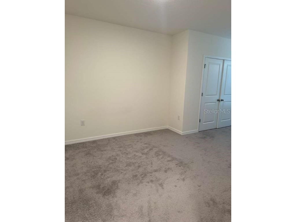 32467 Turtle Grace Loop Wesley Chapel FL 33545 O6364297 image7