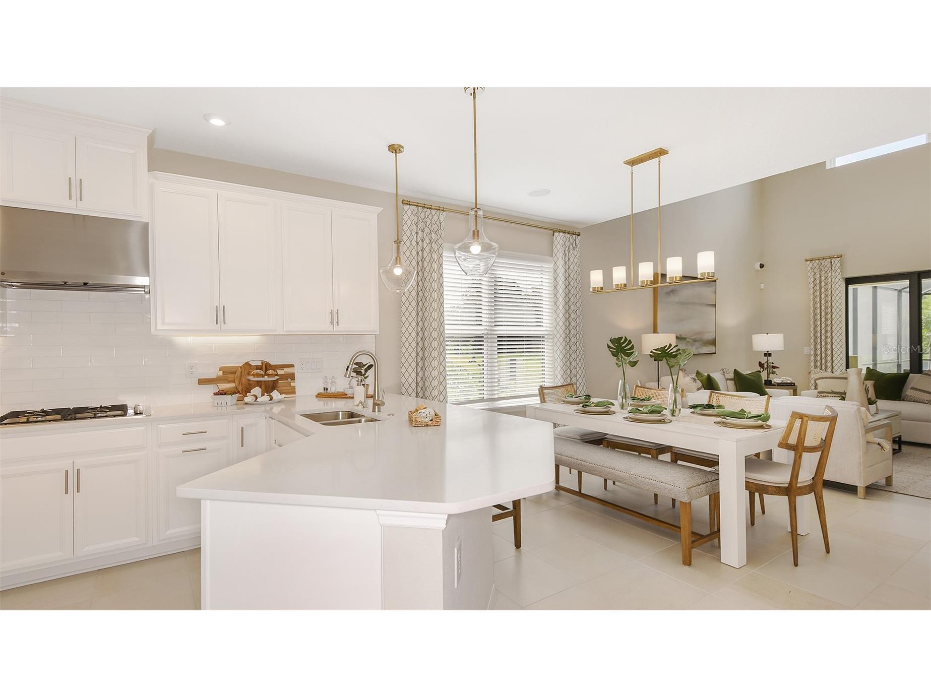 32468 Sea Loch Loop Mount Dora FL 32757 O6394015 image9