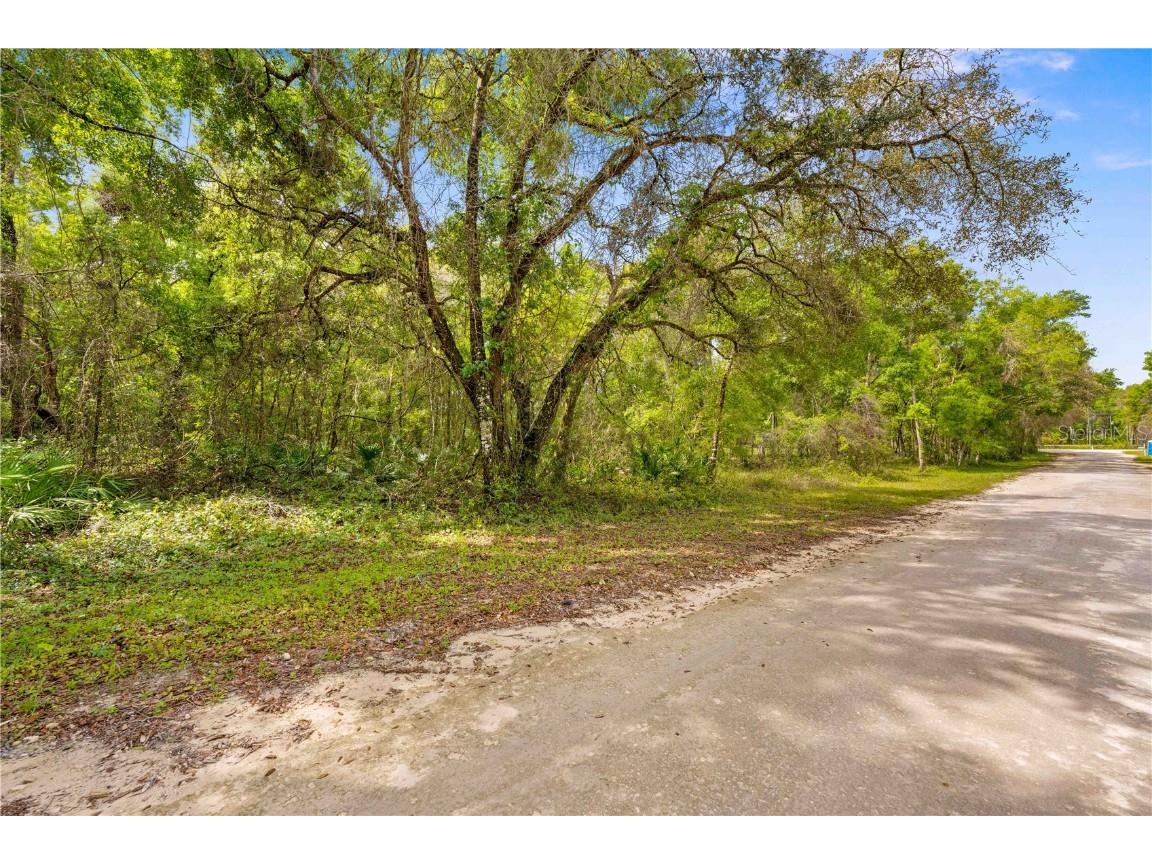 32468 Square Stone Street Webster FL 33597 TB8368368 image10