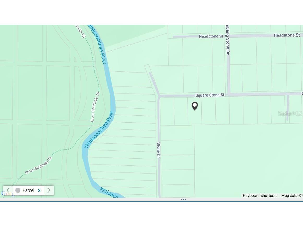 32468 Square Stone Street Webster FL 33597 TB8368368 image12