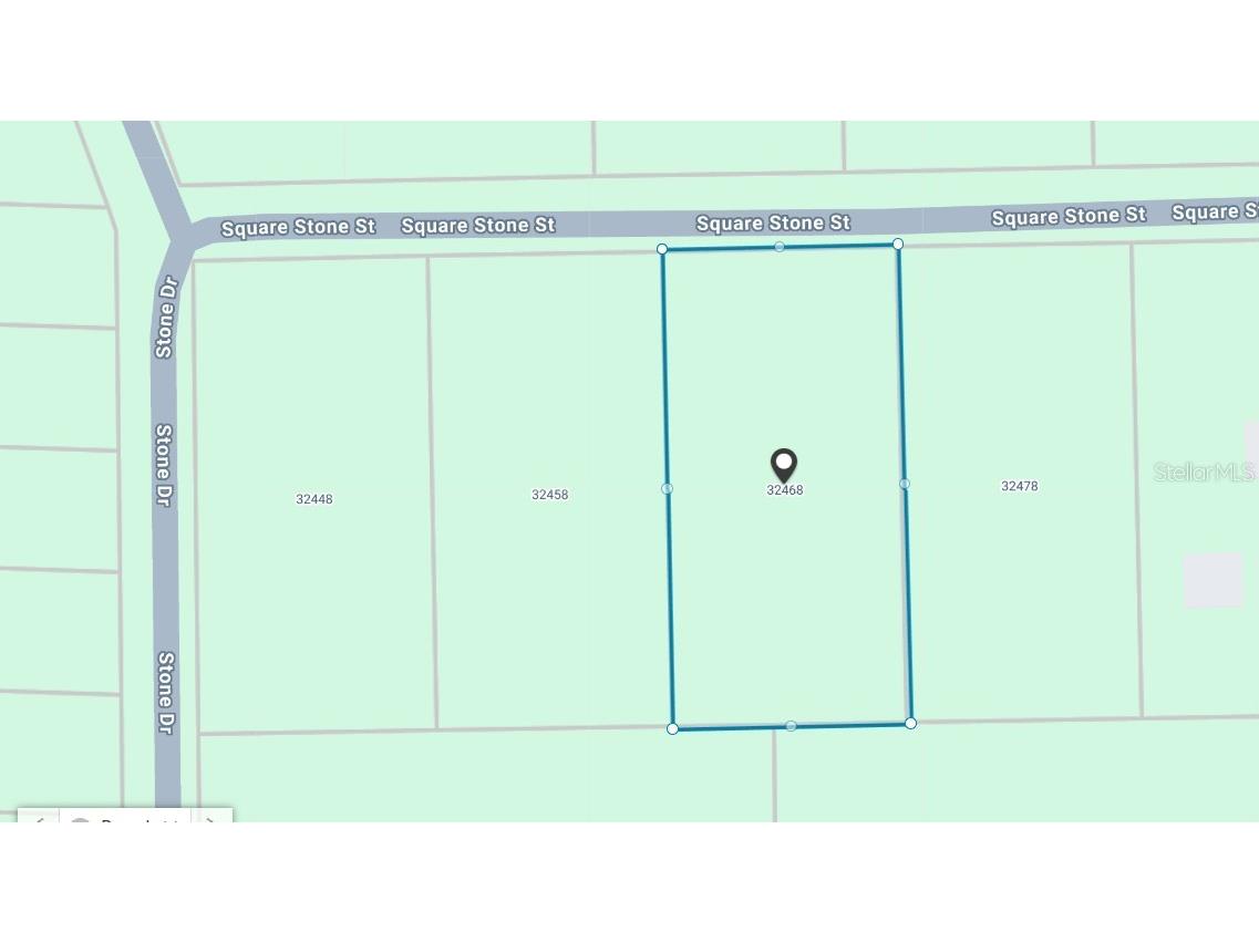 32468 Square Stone Street Webster FL 33597 TB8368368 image13