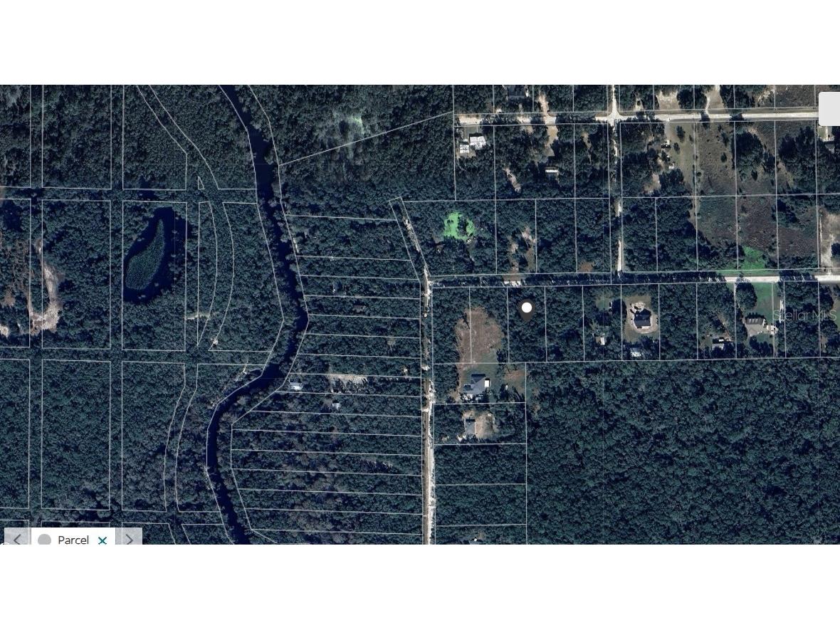 32468 Square Stone Street Webster FL 33597 TB8368368 image14