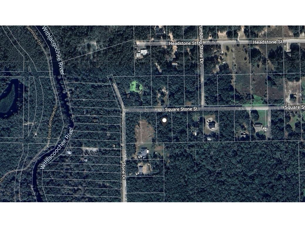 32468 Square Stone Street Webster FL 33597 TB8368368 image15