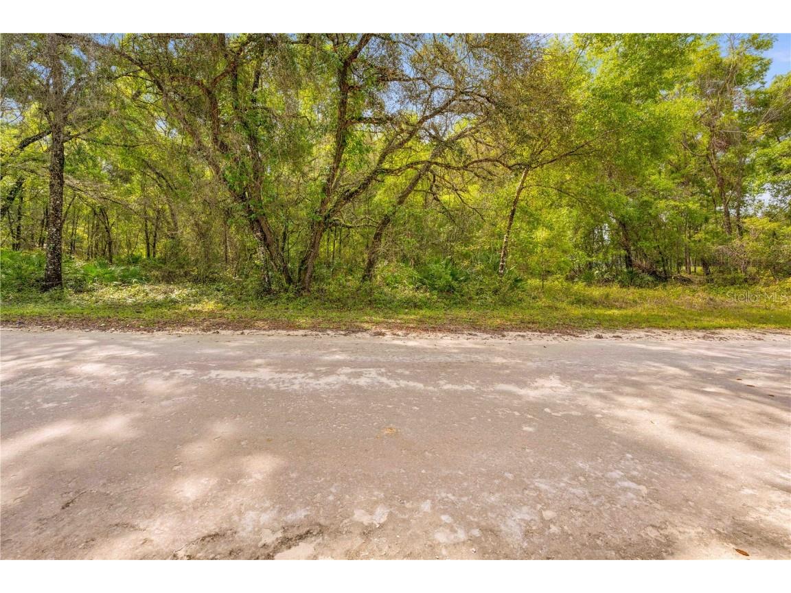 32468 Square Stone Street Webster FL 33597 TB8368368 image8