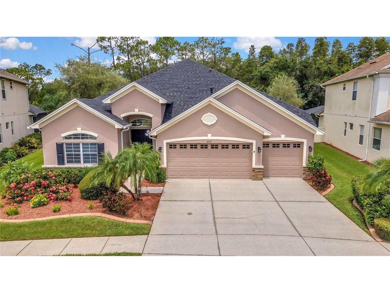 3247 Diamond Falls Circle Land O Lakes FL 34638 V4948072 image1