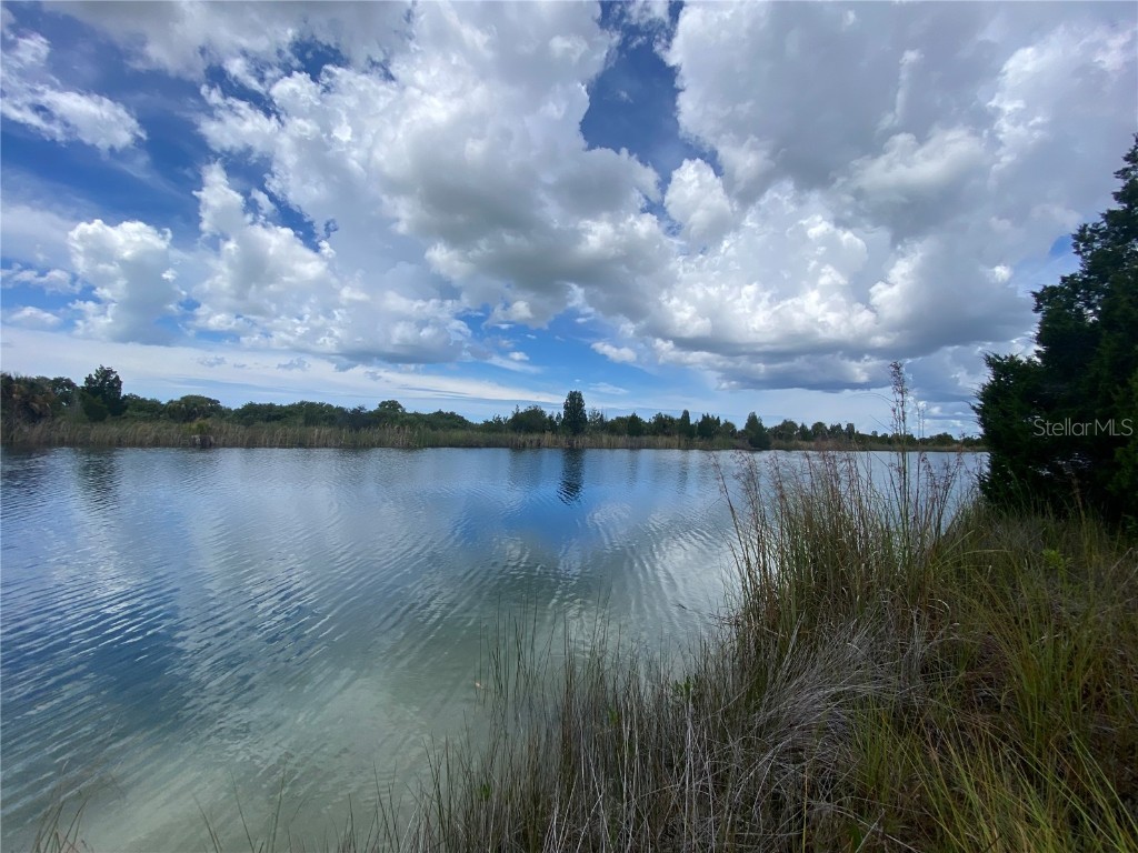 3247? Lugustrum Drive Hernando Beach FL 34607 - INDIRECT GULF ACCESS W7837960 image1