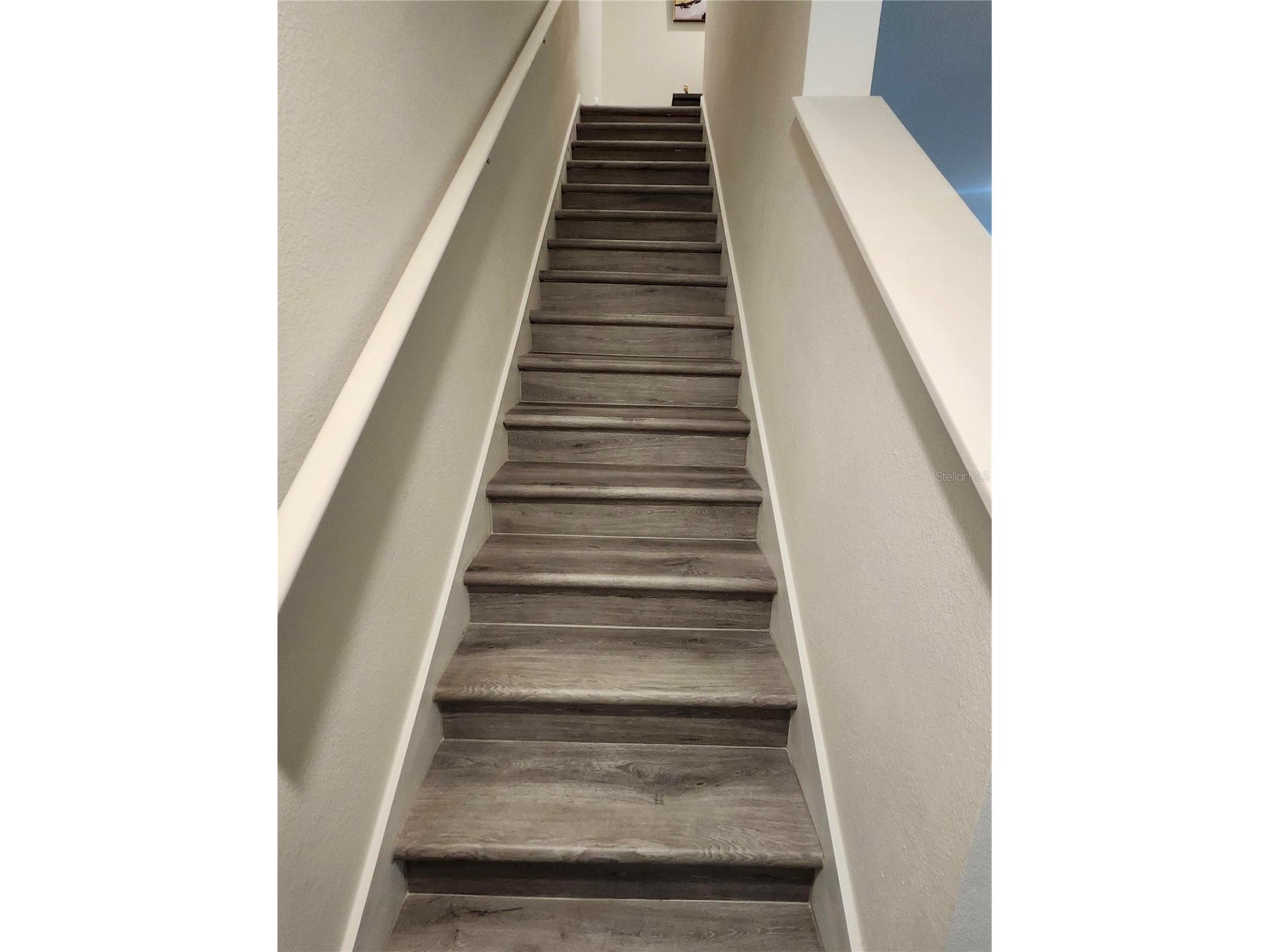 3247 Pleasant Willow Court Brandon FL 33511 TB8506173 image17