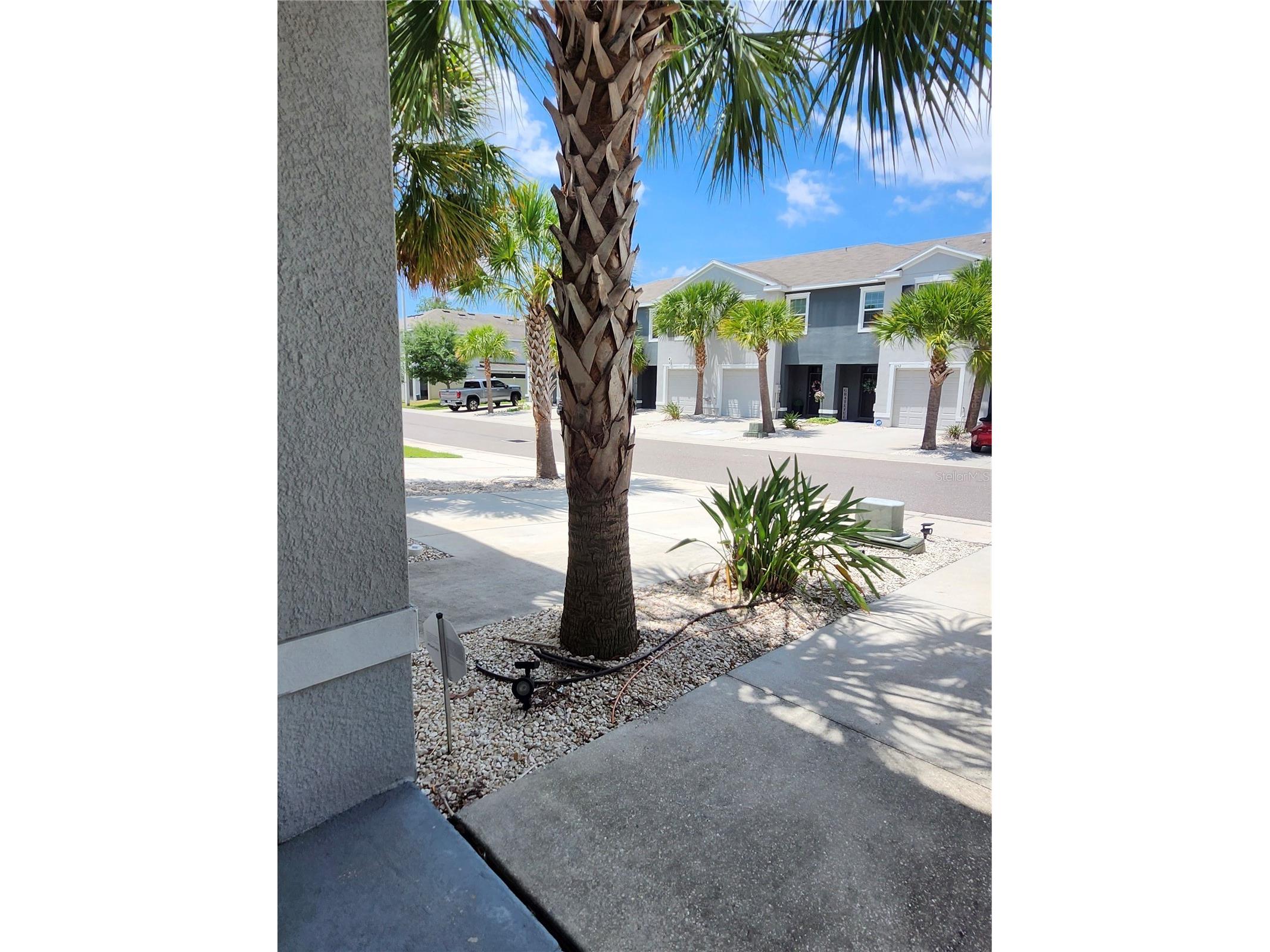 3247 Pleasant Willow Court Brandon FL 33511 TB8506173 image38