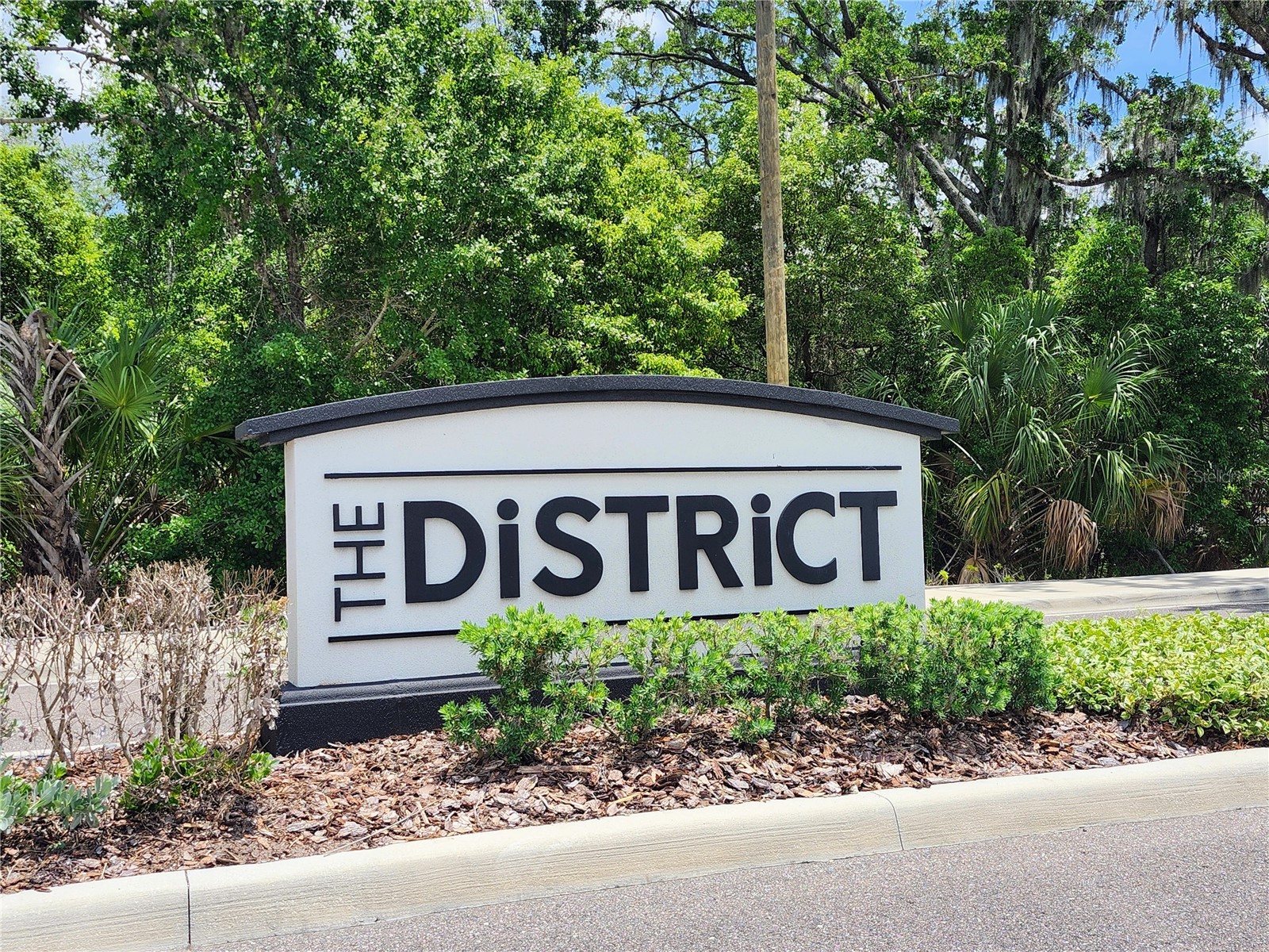 3247 Pleasant Willow Court Brandon FL 33511 TB8506173 image39