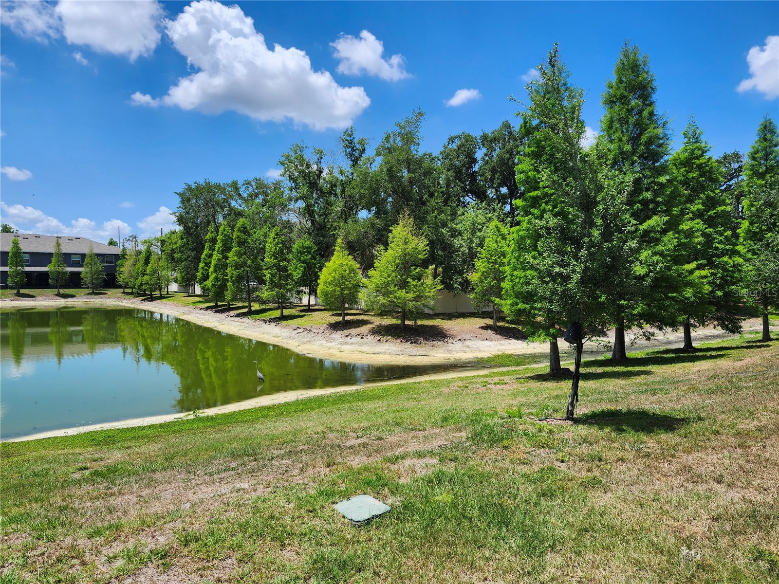3247 Pleasant Willow Court Brandon FL 33511 TB8506173 image41