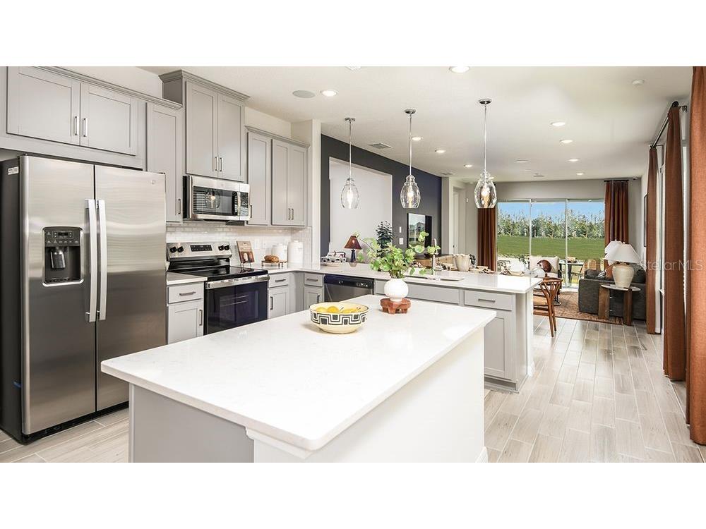 32472 Sea Loch Loop Mount Dora FL 32757 O6373318 image4