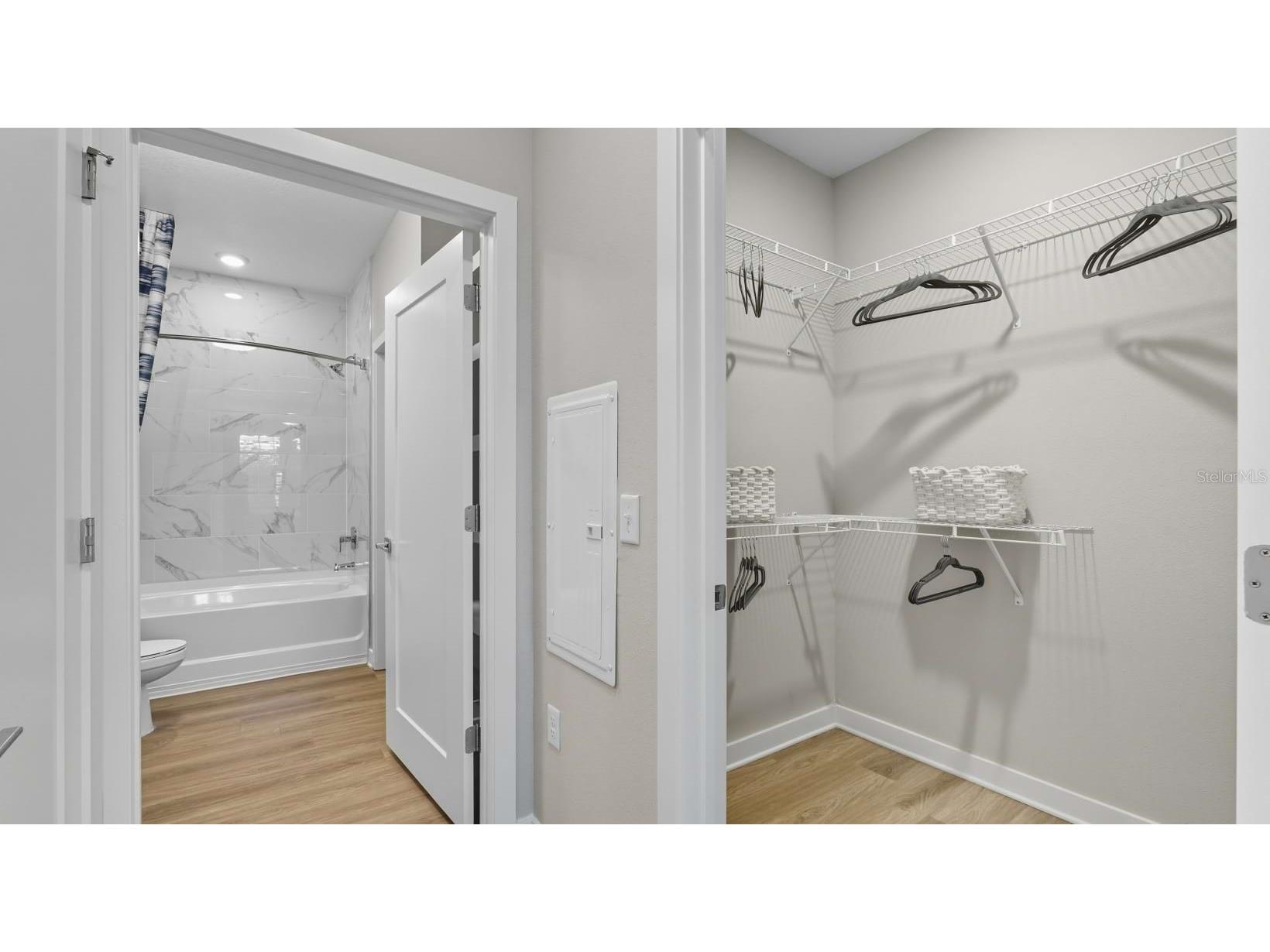 32475 Sugarplum Loop Wesley Chapel FL 33543 TB8521774 image36