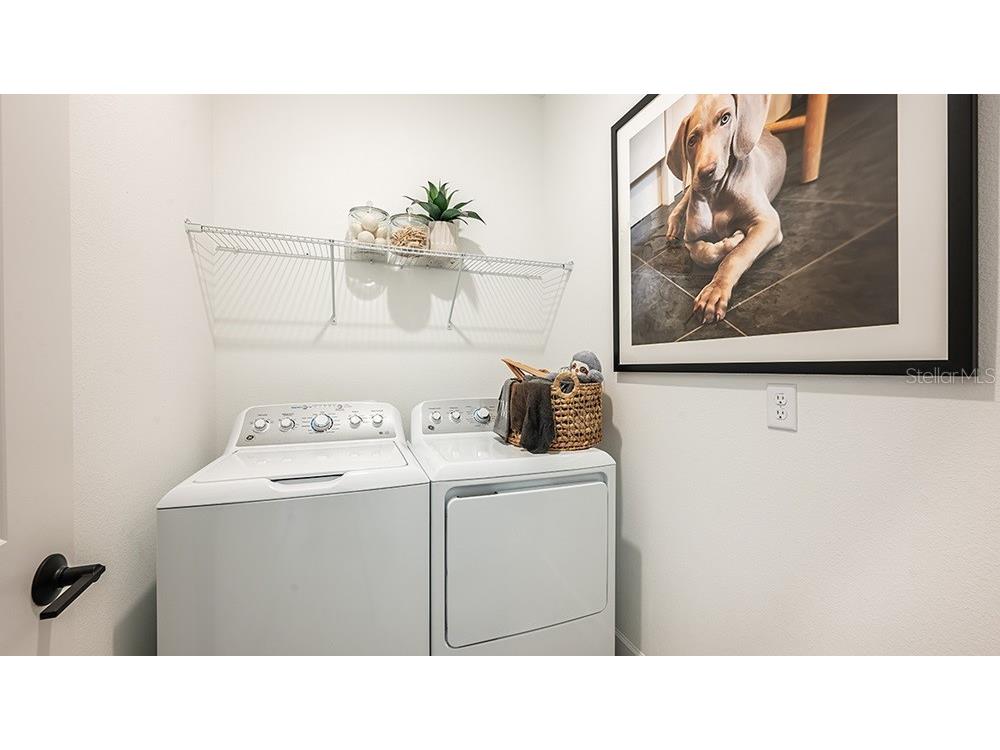 32476 Sea Loch Loop Mount Dora FL 32757 O6375251 image24