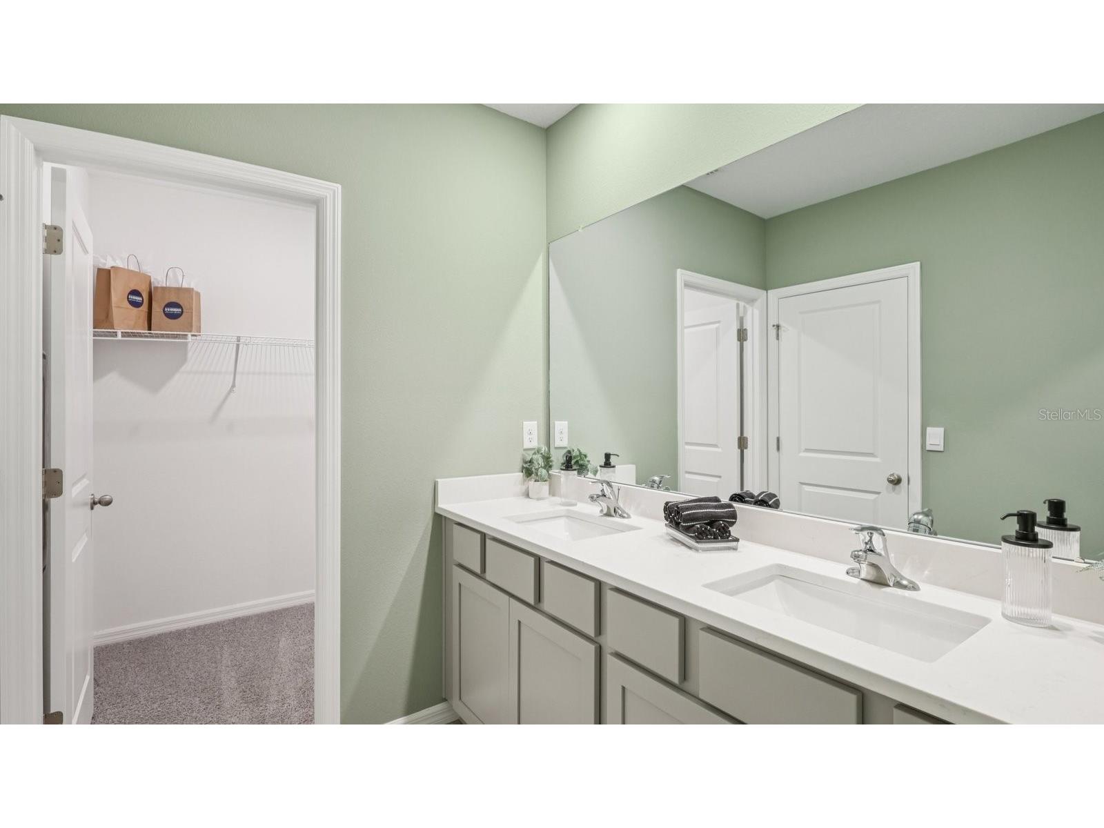 32479 Welling Blade Loop Wesley Chapel FL 33545 TB8478645 image22
