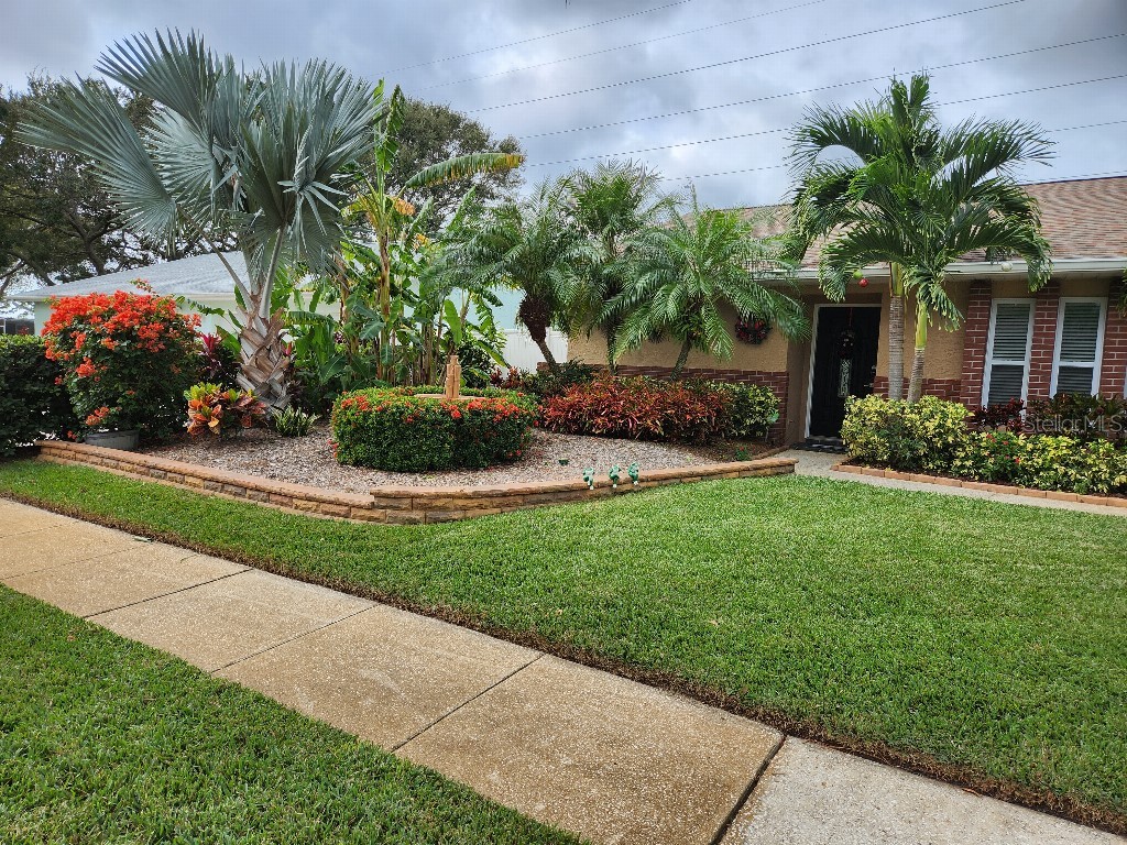 3248 Buckhorn Drive Clearwater FL 33761 T3469895 image1