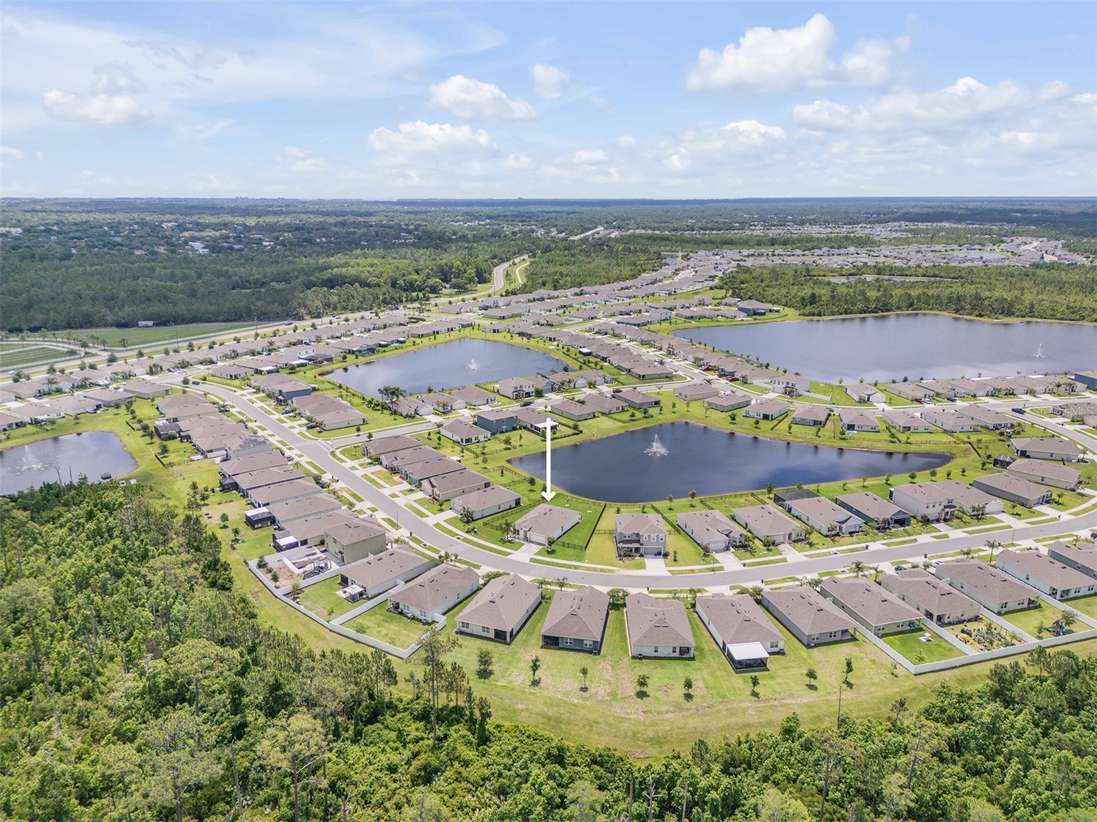 3248 Carpentaria Drive New Smyrna Beach FL 32168 NS1088365 image61