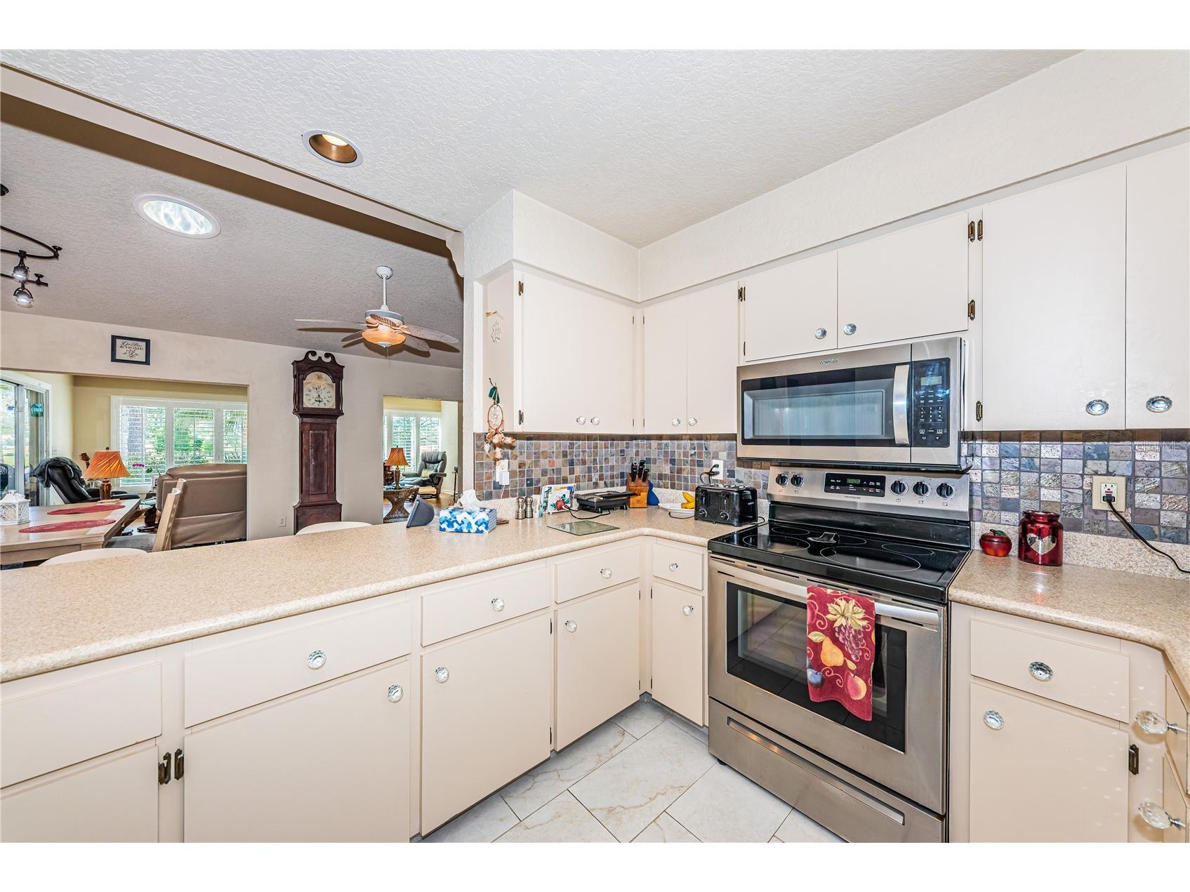3248 Hilary Circle Palm Harbor FL 34684 TB8502673 image10