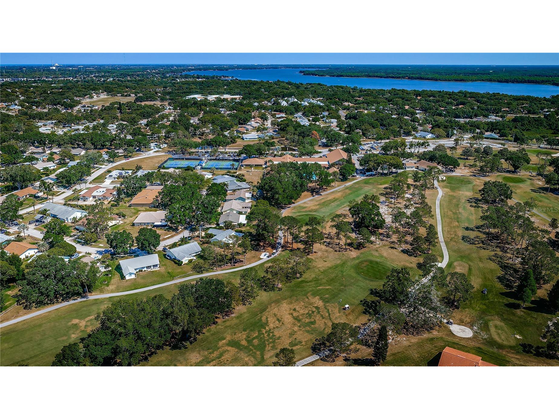 3248 Hilary Circle Palm Harbor FL 34684 TB8502673 image22