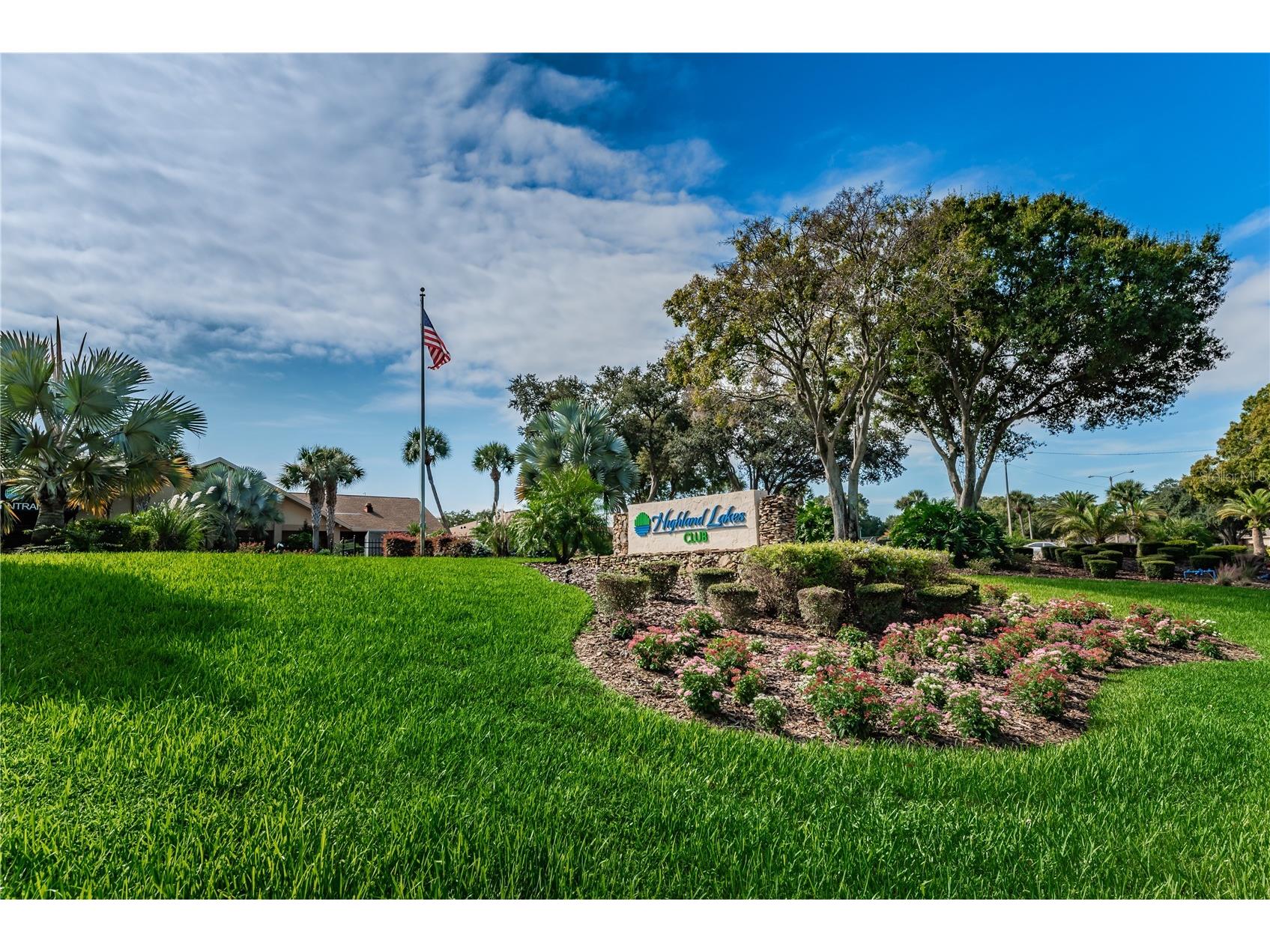 3248 Hilary Circle Palm Harbor FL 34684 TB8502673 image26