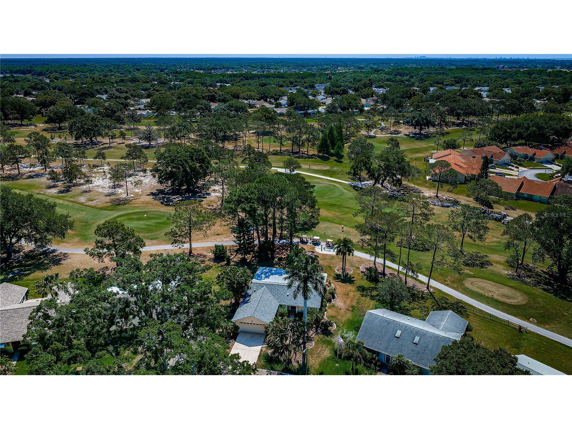 3248 Hilary Circle Palm Harbor FL 34684 TB8502673 image3
