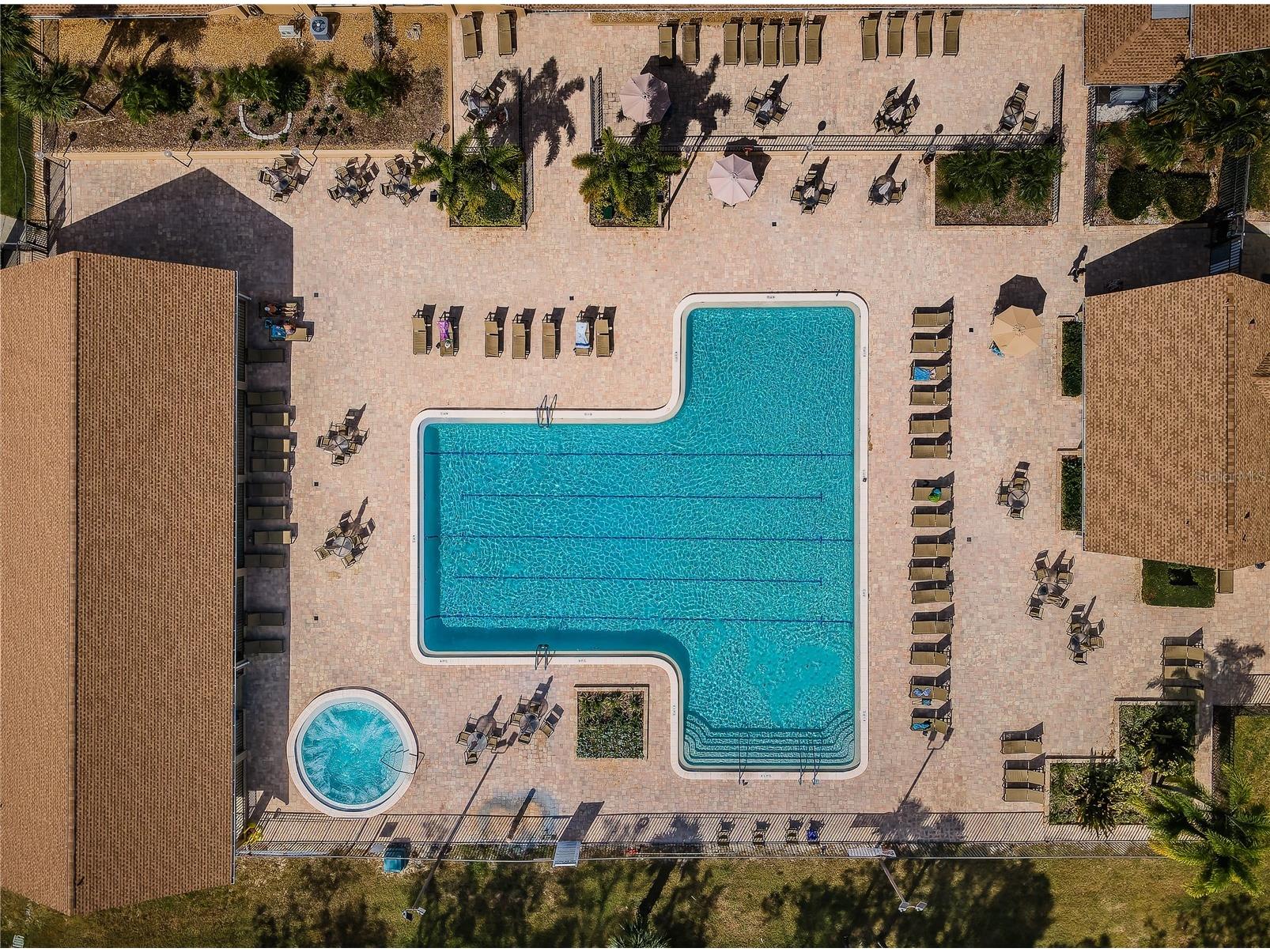 3248 Hilary Circle Palm Harbor FL 34684 TB8502673 image31