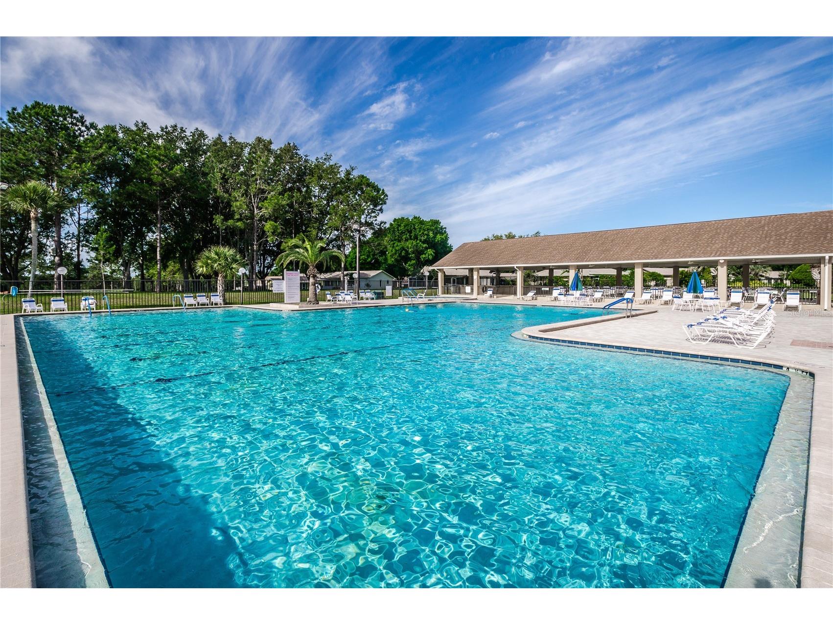 3248 Hilary Circle Palm Harbor FL 34684 TB8502673 image32