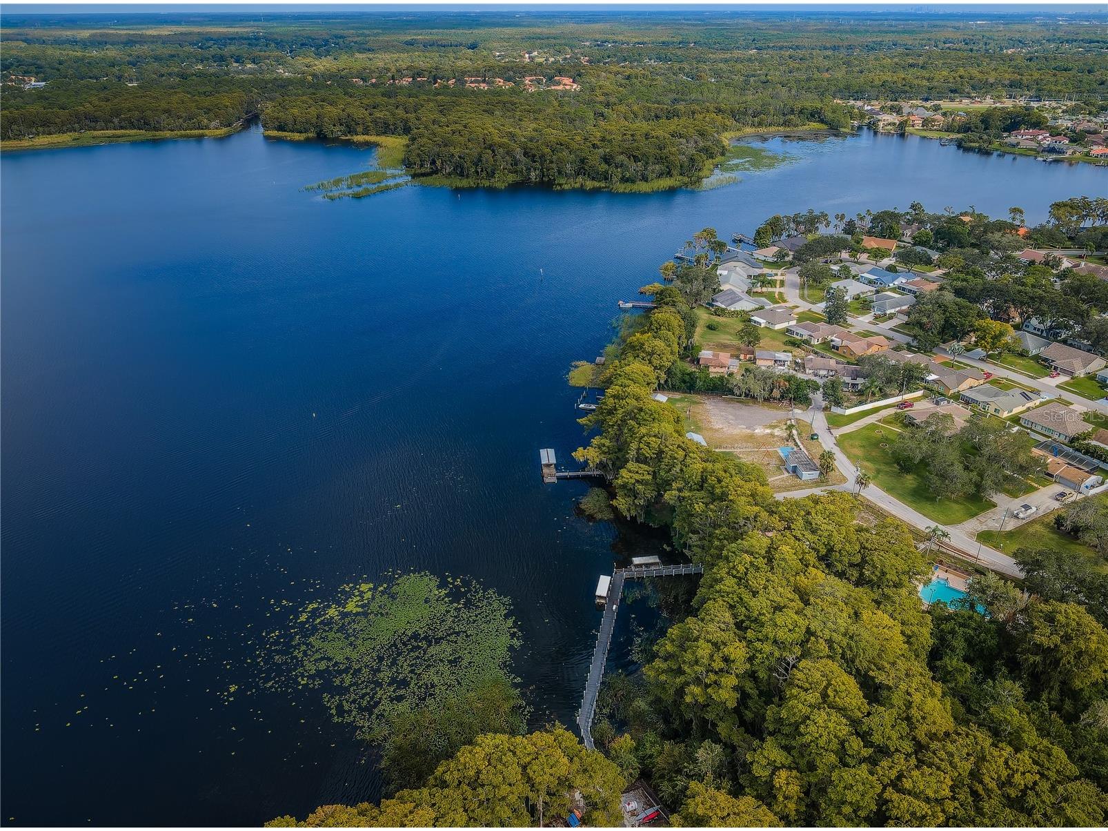 3248 Hilary Circle Palm Harbor FL 34684 TB8502673 image60