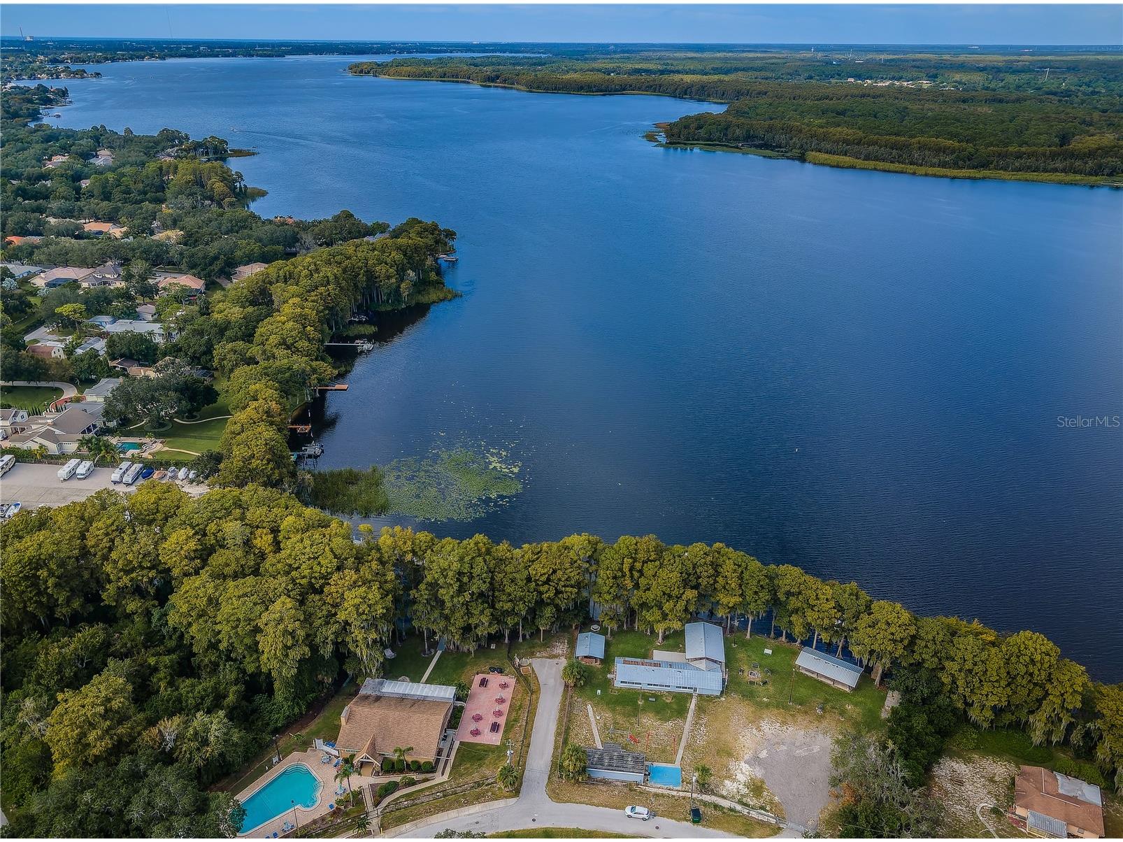 3248 Hilary Circle Palm Harbor FL 34684 TB8502673 image62