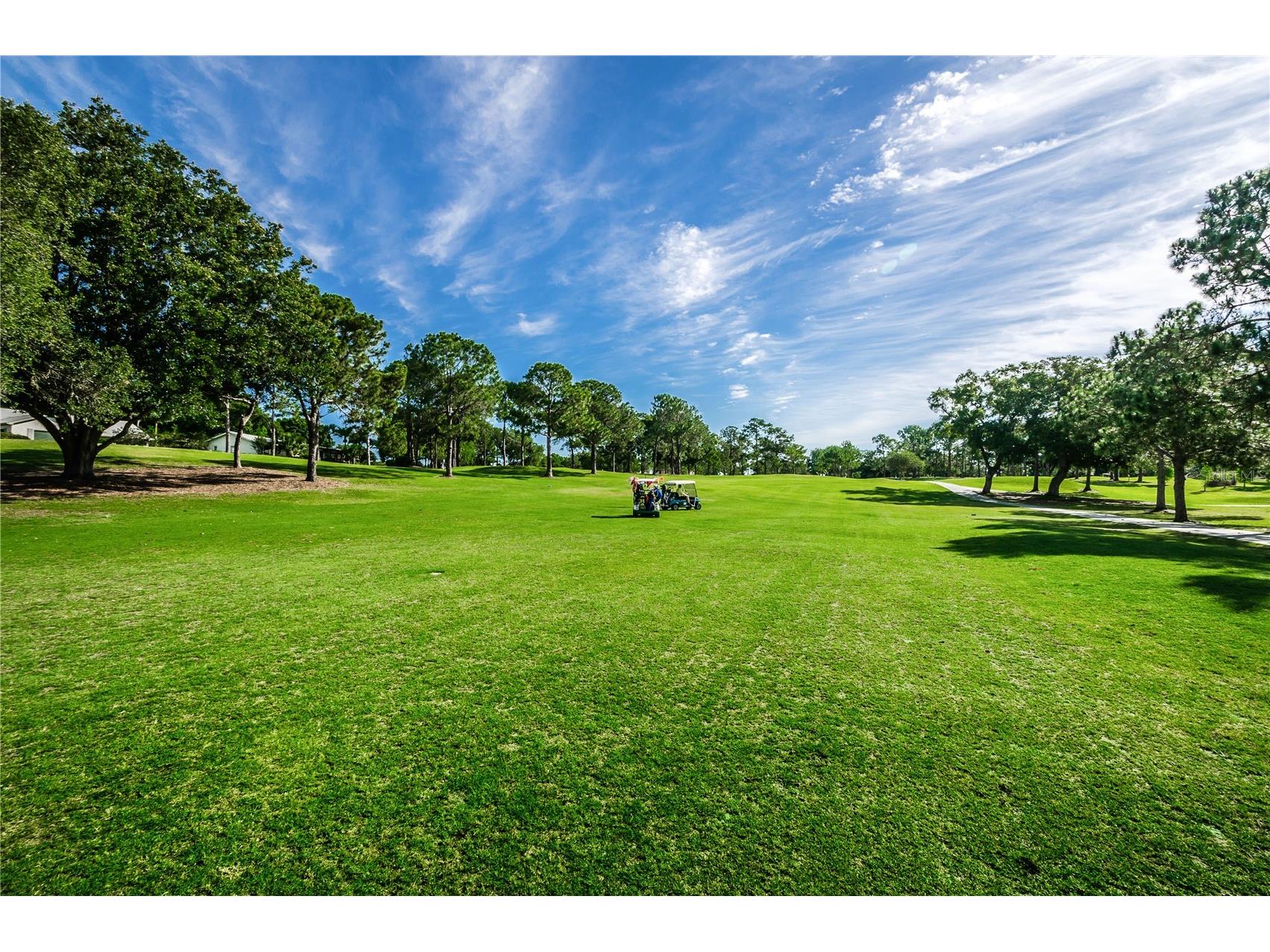 3248 Hilary Circle Palm Harbor FL 34684 TB8502673 image66