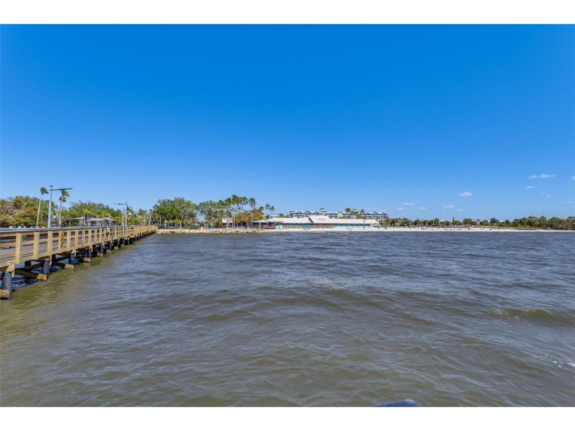 3248 Mangrove Point Drive Ruskin FL 33570 A4649291 image43