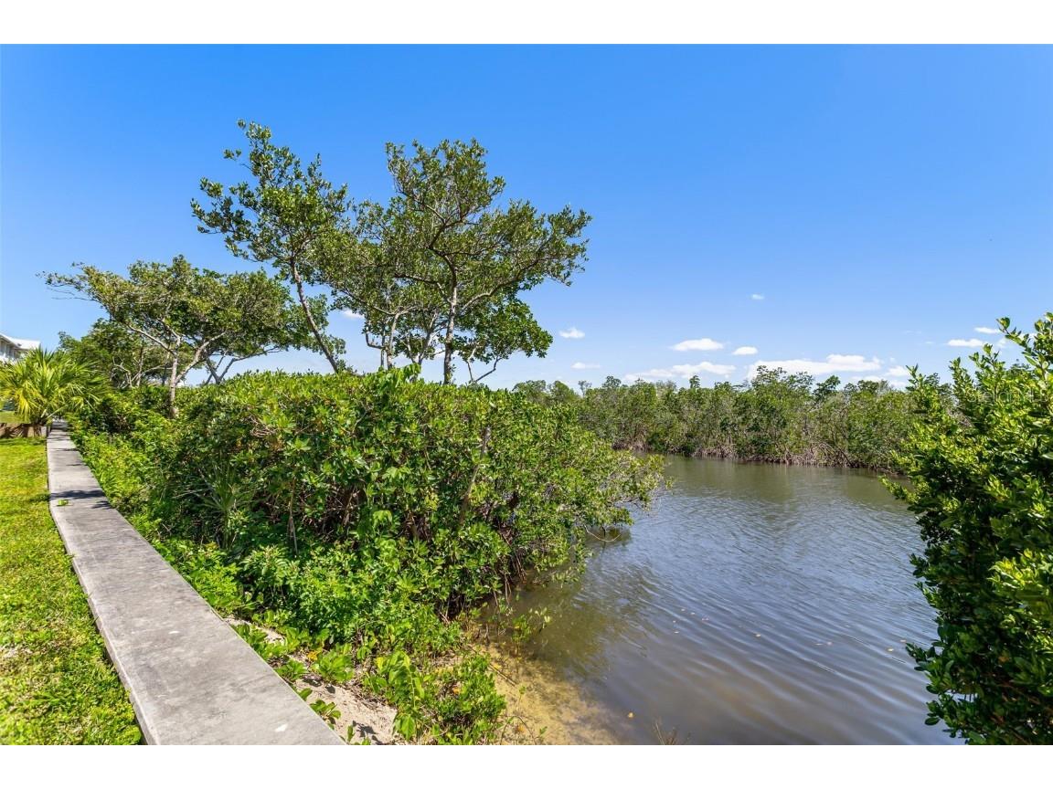 3248 Mangrove Point Drive Ruskin FL 33570 A4649291 image6