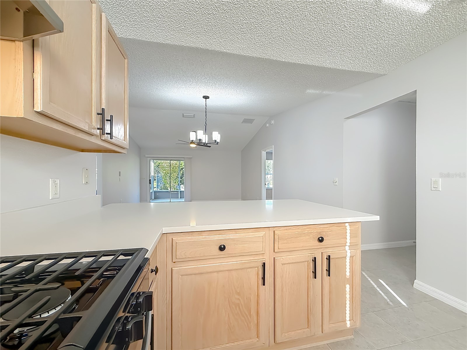 3248 Richmond Drive The Villages FL 32162 OM723097 image10