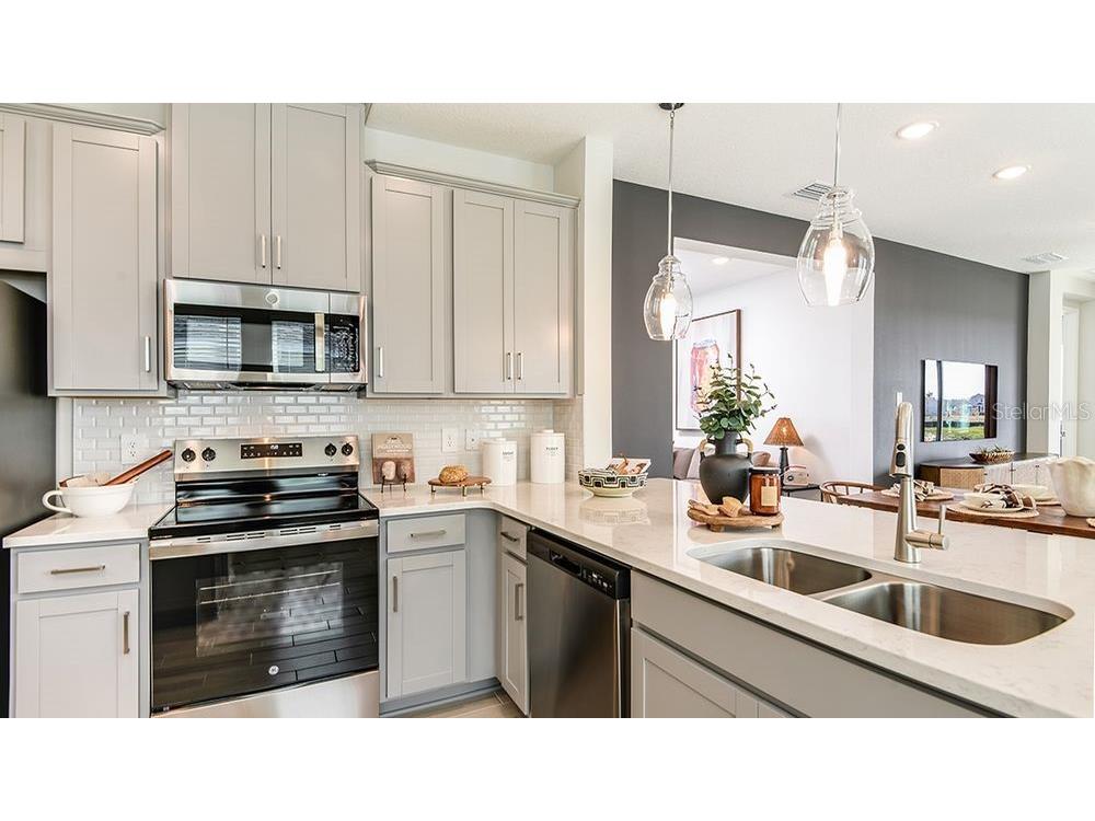 32488 Sea Loch Loop Mount Dora FL 32757 O6373289 image6