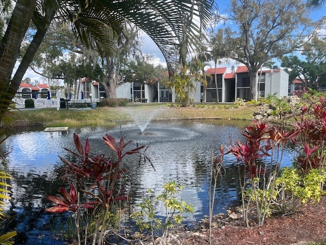 3249 Beneva Road #103 Sarasota FL 34232 TB8480817 image28